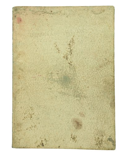 Codex on the Flight of Birds, Endpaper I by Leonardo da Vinci